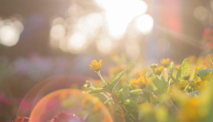 life-is-beautiful-depending-on-how-you-think-your-life